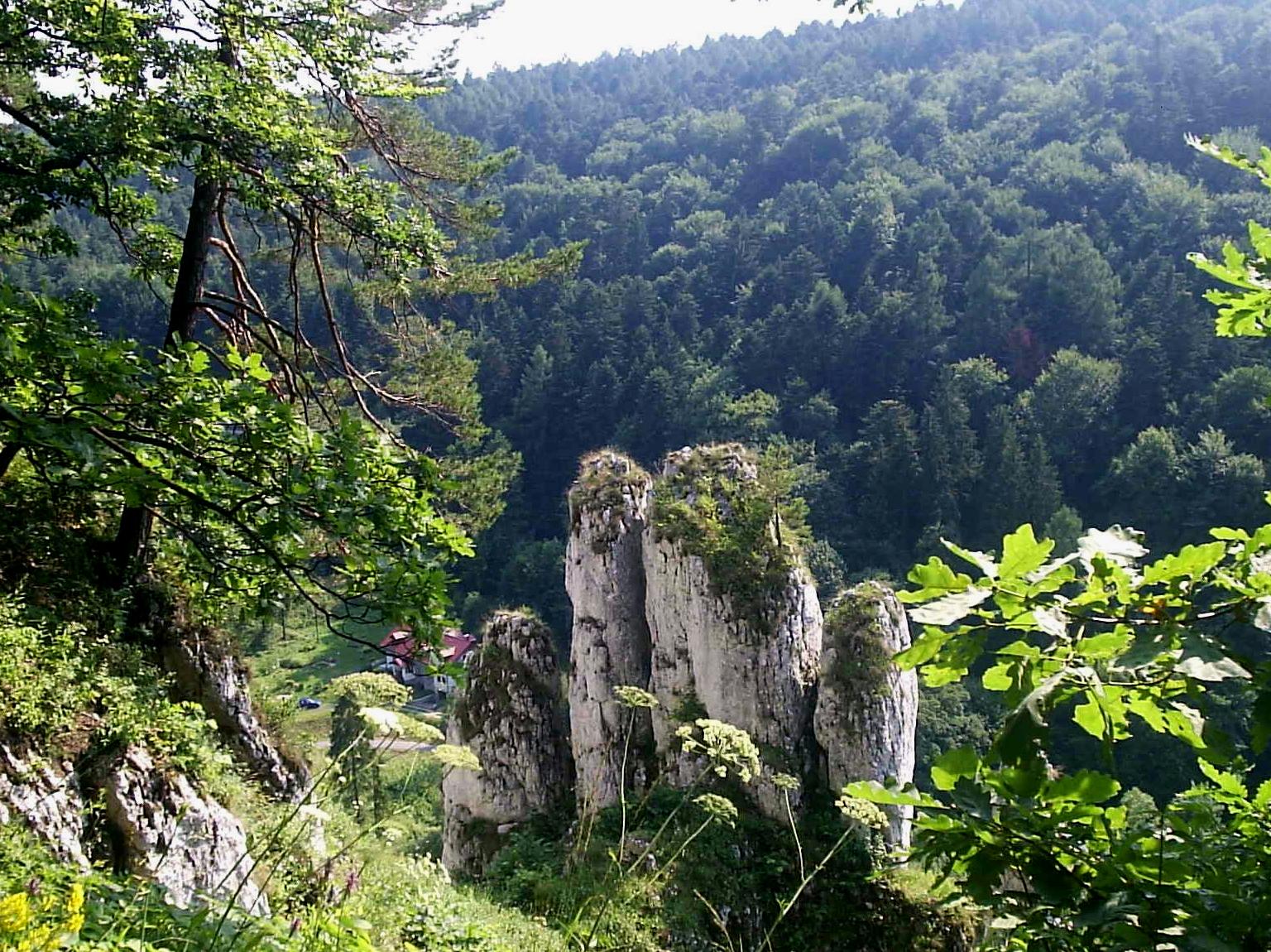 JuraPark Bałtów + Park Rozrywki